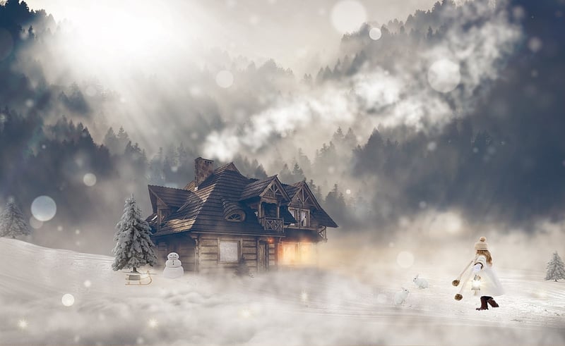 Forest Cabin
