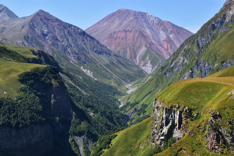 Wildlife in the Caucasus Mountains